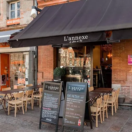 Le Clos St Georges Lejlighed Toulouse